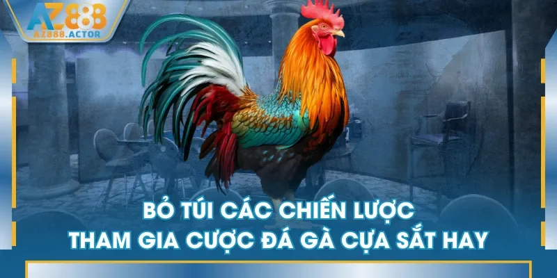Bỏ túi các chiến lược tham gia cược đá gà cựa sắt hay