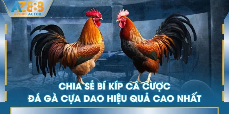 Chia sẻ bí kíp cá cược đá gà cựa dao hiệu quả cao nhất