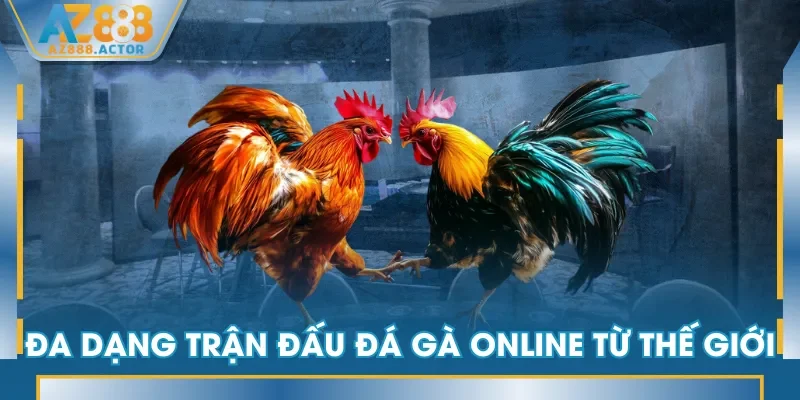 Đa dạng trận đấu đá gà online từ thế giới