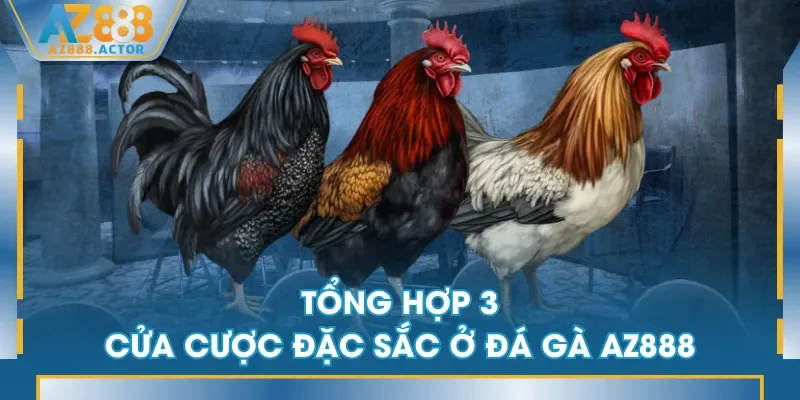 Tổng hợp 3 cửa cược đặc sắc ở Đá Gà AZ888